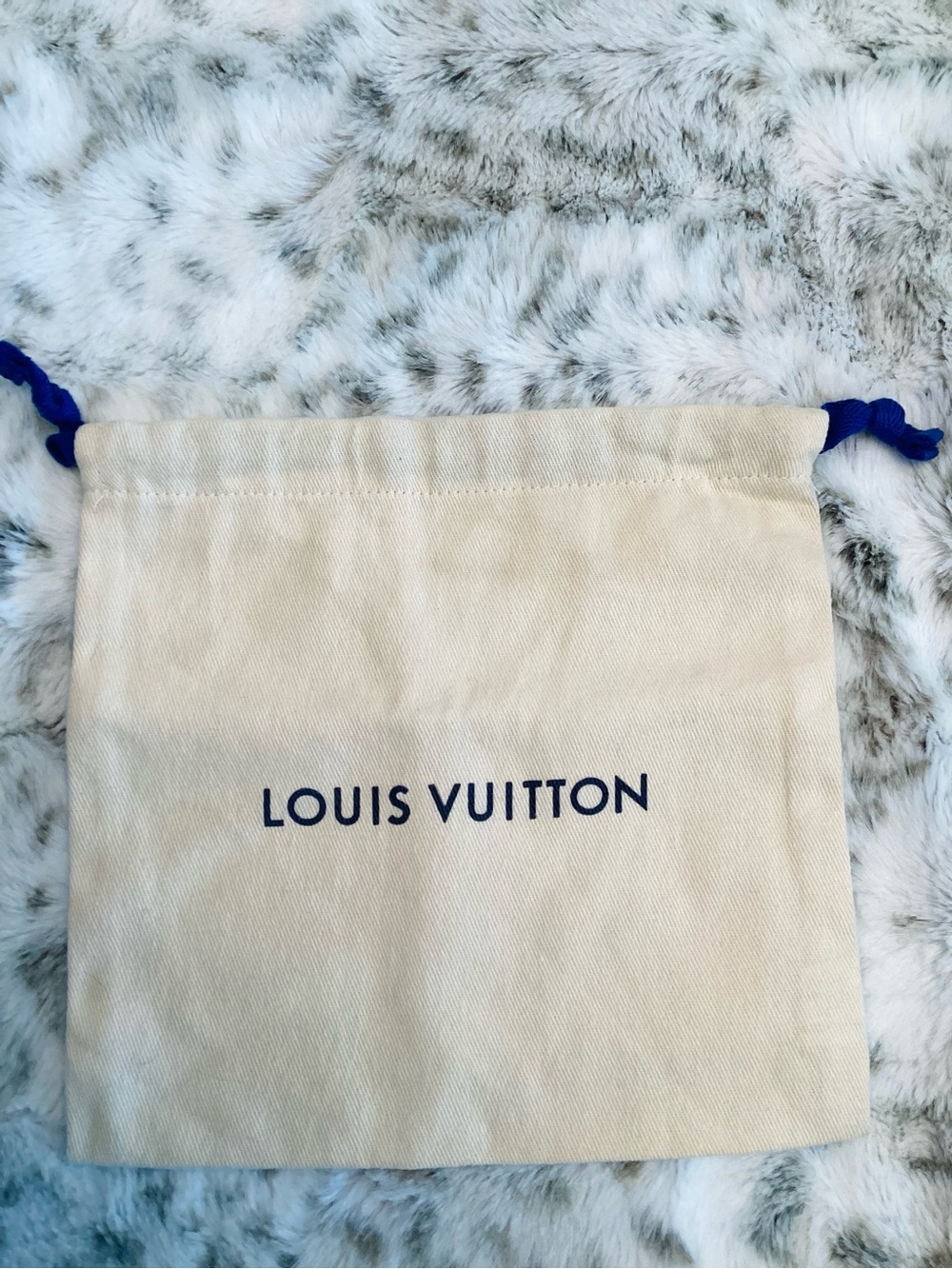 Louis Vuitton Trousse Wapity Pouch - Picture 10 of 10